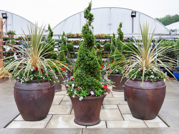 Our Pots of Distinction planters look amazing when filled.