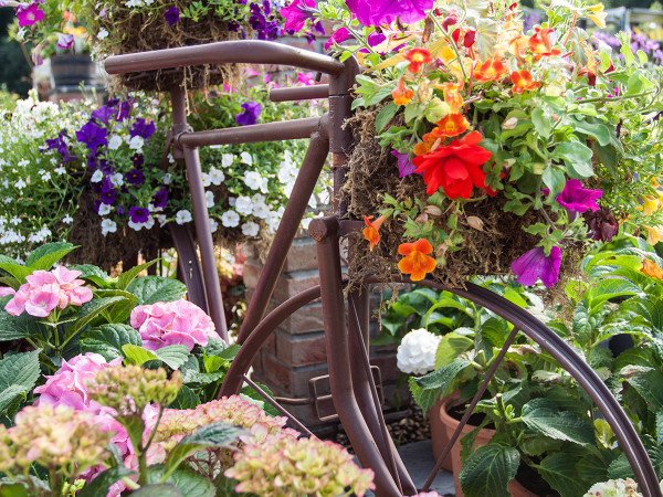 Summer sees a world of colour arrive, sometimes by bike!