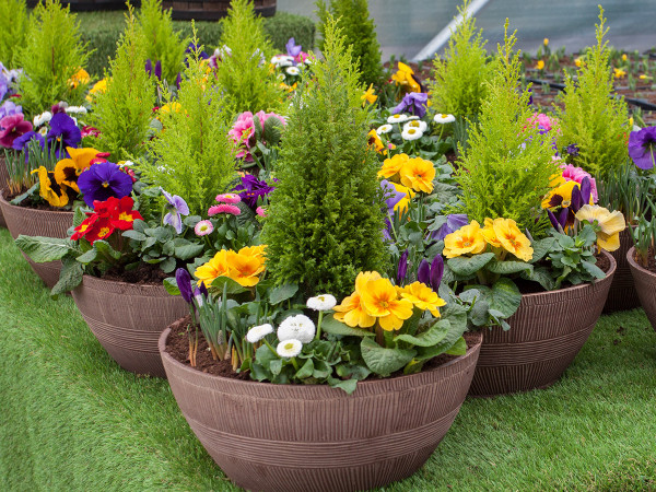 Our Spring-themed filled bowls are always popular