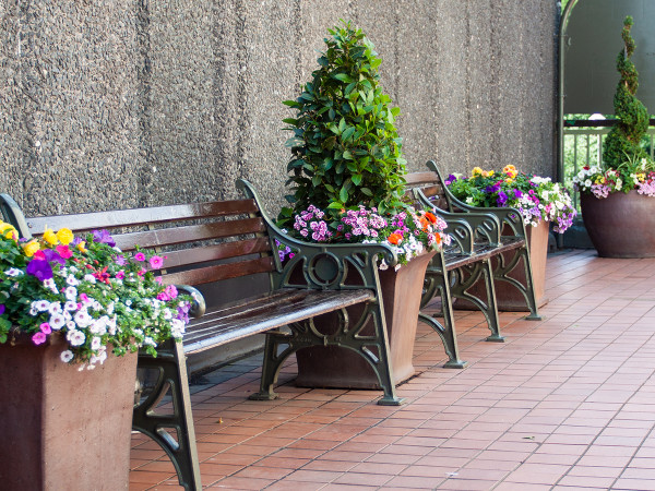Benches are great, but adding this colour makes them a much nicer place to take a rest.