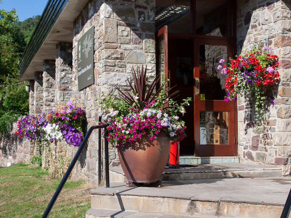Dan-yr-ogof Show Caves had their reception area brightened with pots and baskets.