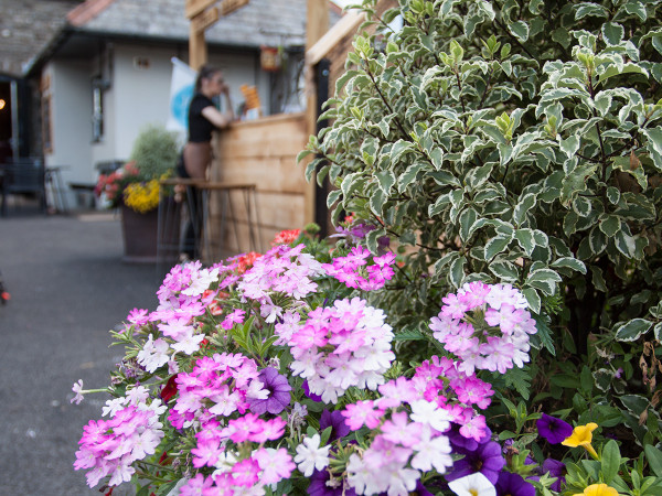 Sgwd Gwladys' outside bar is now surrounded by colour.