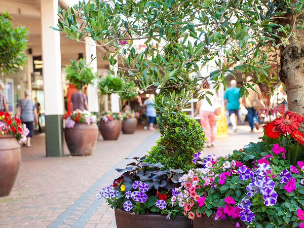 St Tydfil Shopping Centre is a brighter place to be, with pots and plants from The Old School Nursery.
