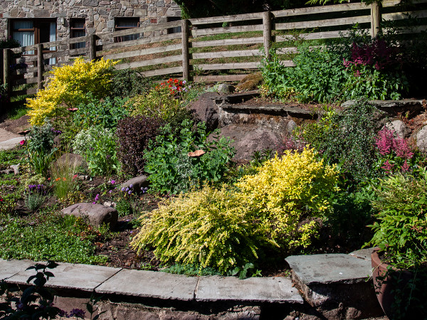 Once established, planted areas really start to look their best.