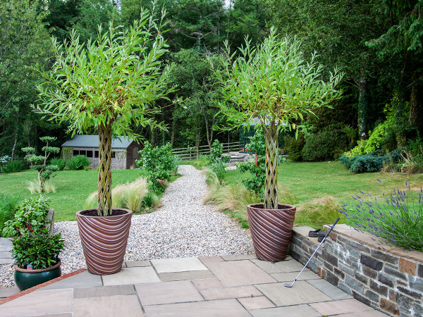 Using pots and architectural plants really adds to new planting of trees and shrubs.